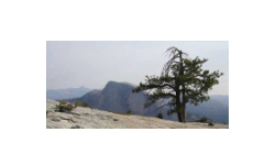 Yosemite National Park