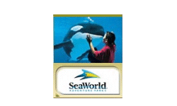 SeaWorld