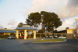 12007