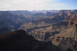14006